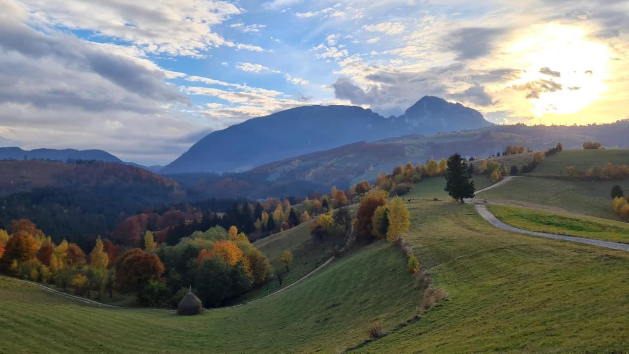 My Little Village Poiana Mărului 外观 照片