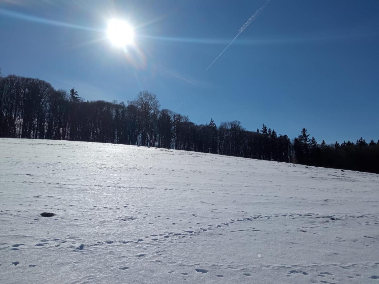 My Little Village Poiana Mărului 外观 照片