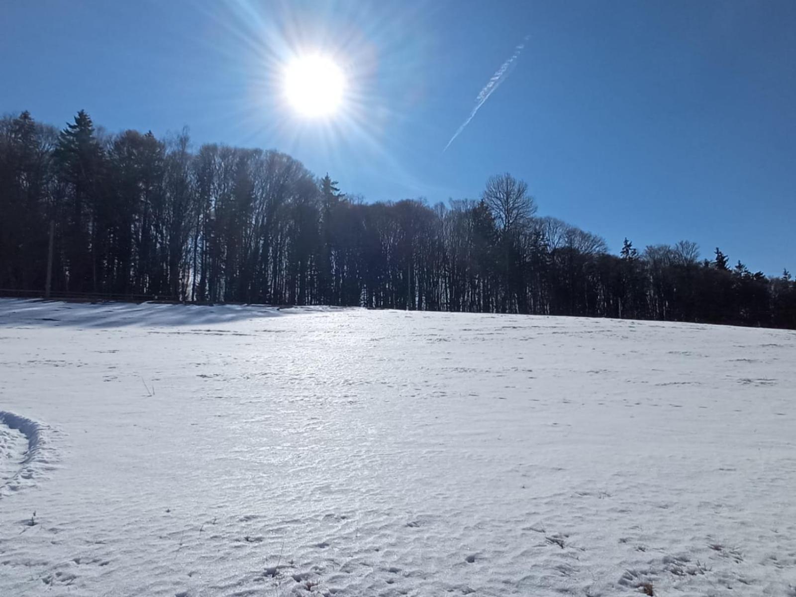 My Little Village Poiana Mărului 外观 照片