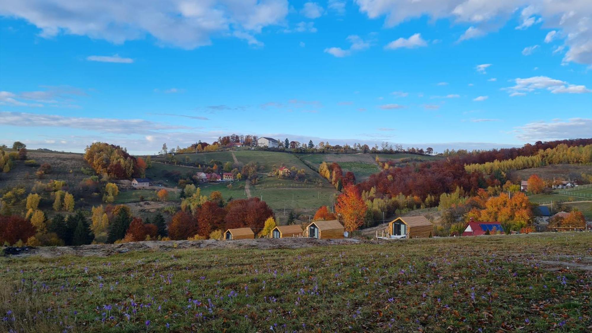 My Little Village Poiana Mărului 外观 照片