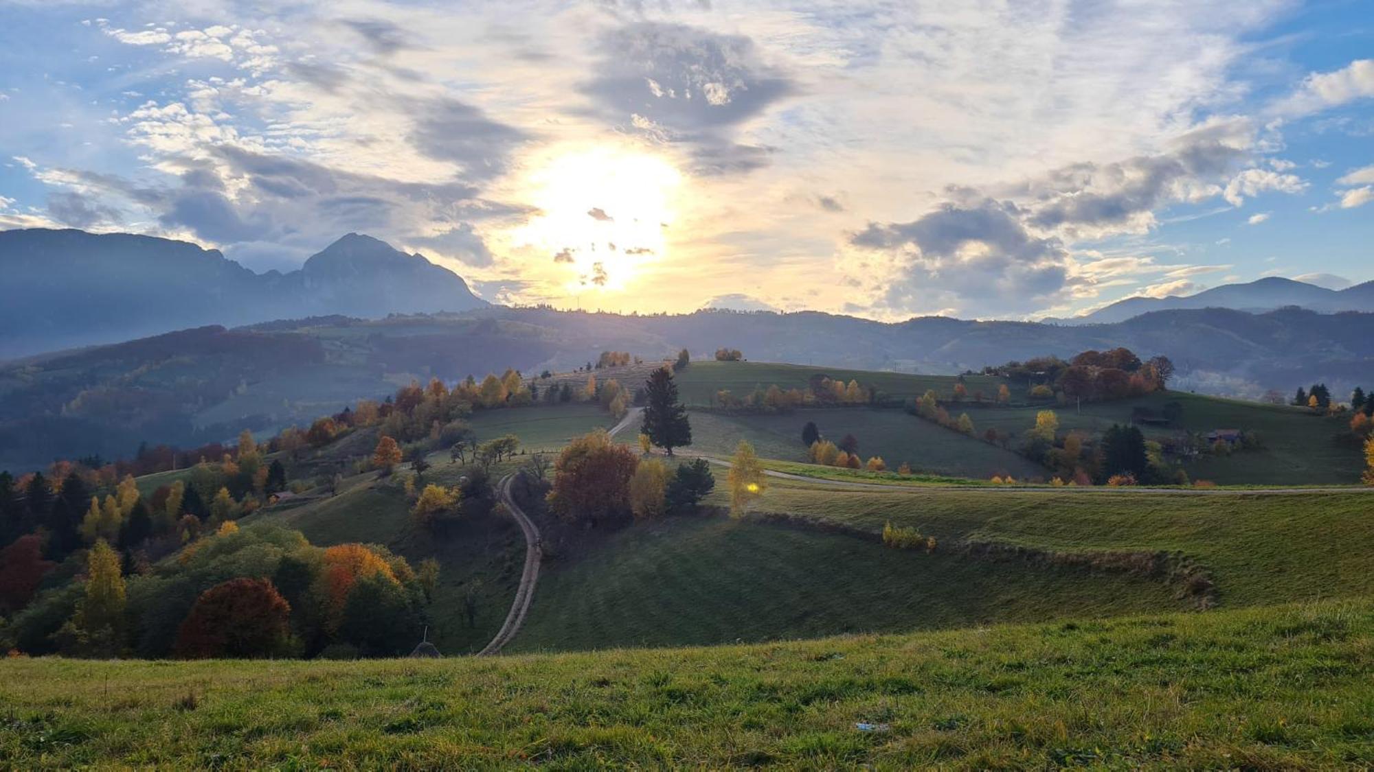 My Little Village Poiana Mărului 外观 照片