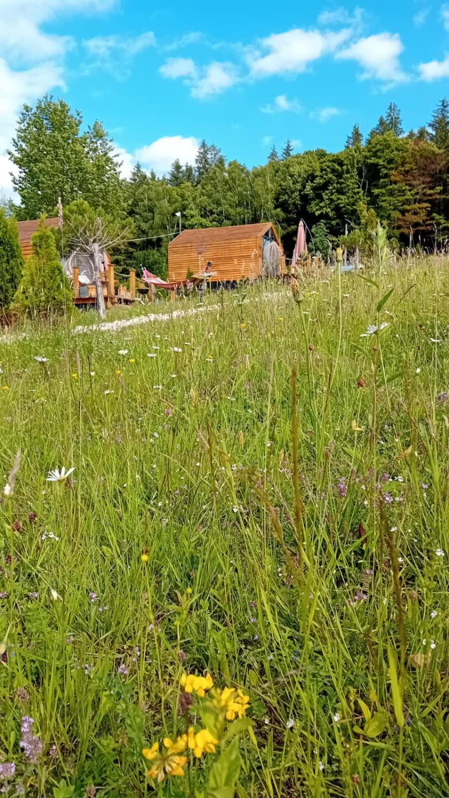 My Little Village Poiana Mărului 外观 照片